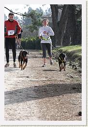 Fargues 15.02.09 3 315 * 320 x 480 * (89KB)